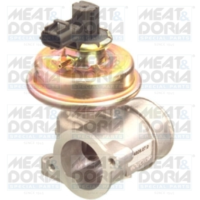 EGR Valve
